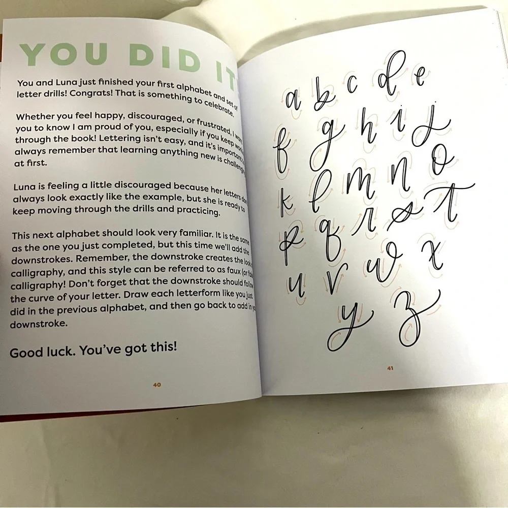 Learn to Letter Luna the Llama Interactive Children Workbook Hand Lettering New